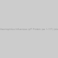 Image of Recombinant Haemophilus Influenzae rplT Protein (aa 1-117) (strain 86-028NP)